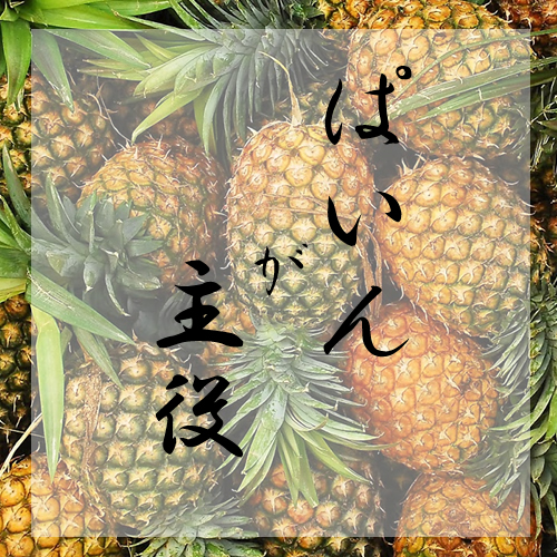 株式会社パインが主役コンセプト画像